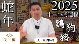 【十二生肖運程】鷄狗豬編｜2025蛇年十二生肖運程預測🧧開運全攻略｜如何化凶為吉✨(第三集)［213］