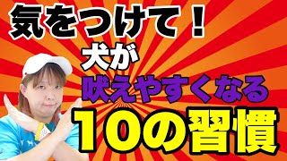 犬が吠えやすくなる飼い主さんの10の習慣　あなたもやってるかも⁉