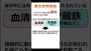 【薬剤師が1分で解説】市販の鉄剤で注意すること～鉄剤、鉄欠乏性貧血～【登録販売者試験対策】