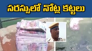 Rs 2000 Notes Found Floating in Ajmer’s Anasagar Lake