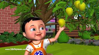 Five Little Mangoes Counting Song - 3D Animation Nursery Rhymes for Children