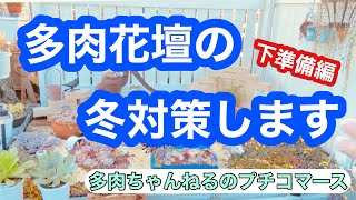 【多肉植物】多肉花壇の冬対策をDIYします❣️準備編