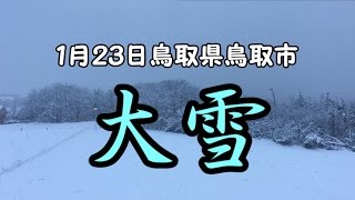 2017年1月23日鳥取県鳥取市大雪簡易レポート