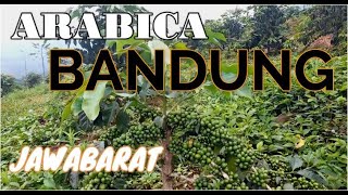 SUPER KOPI ARABICA BANDUNG JAWABARAT