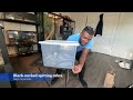 unboxing a black necked spitting cobra naja nigricollis