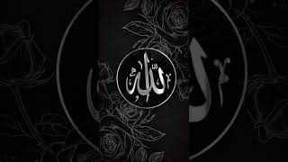 Madina ja k ❤️Beautiful islamic video #shorts#islamic#shortsvideo#makka#youtubeshorts #allah#tiktok