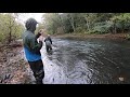 3 days fishing the north branch potomac river rare trout species