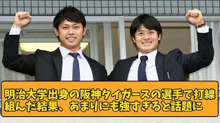 【明治虎党集合】明治大学出身の阪神タイガースの選手で打線組んだ結果、あまりにも強すぎると話題に【阪神タイガース】【2chスレ】