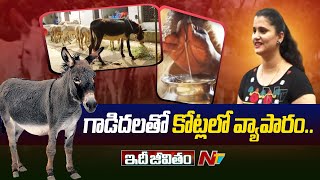 Donkey Farming By Software Engineers | Morampudi | Godavari Ditrict | Ntv