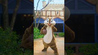 迎接大鼻與鋼牙嘅周年紀念驚喜 What’s in the box for Chip ‘n Dale’s anniversary? | 香港迪士尼樂園 Hong Kong Disneyland