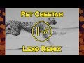 twenty one pilots - Pet Cheetah Remix