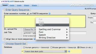 How to Use NCBI Blast