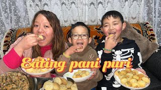 VLOG 146|EATING  PANI PURI WITH MY NEPHEWS | @tsheyangla2276