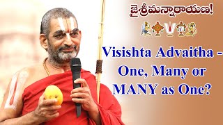 Visishta Advaitha - One, Many or Many as One ? | Chinna Jeeyar Swamiji | #Vishishtadvaita | JETWORLD