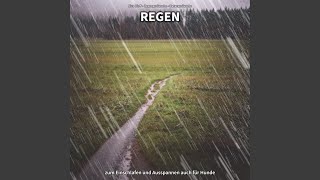 Regen, Pt. 45