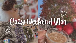 Cozy Weekend Vlog | Enjoying Fall And Getting Ready For Christmas