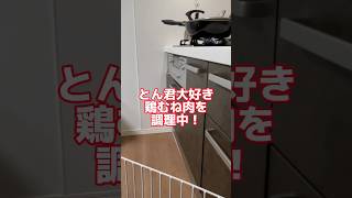 日本語で催促してくる柴犬　#柴犬　#柴犬とん