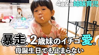 【4歳2歳姉妹育児】母の誕生日でも傍若無人｜イチゴ愛で大暴走する2歳児 #子育て #いちご #爆食