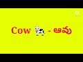 domestic animals names domestic animals names for children పెంపుడు జంతువుల పేర్లు 👍