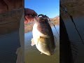 3 hook set secrets bassfishing