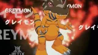 Agumon digivolve to Greymon