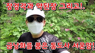 장경각과 약된장 그리고 금낭화를 품은 통도사 서운암!!