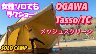 [New act] OGAWA Tasso T/C ⛺️  Mesh Screen 🍀 Setting up / dismantling / storage 😊 Solo camp ⭐️