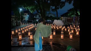 令和4年　夏越しの大祓