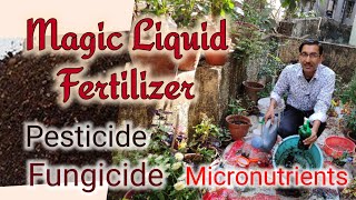 How to Make Neem Cake  Magic Liquid Fertilizer with Pesticide, Fungicide and Micronutrients