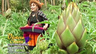 Violeta Chura - La Flor Sureña - La Solterita - video clip oficial 2012 - Demsa del Perú