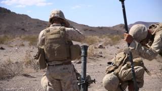 Large Scale Exercise 15