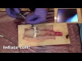 percutaneous cricothyrotomy