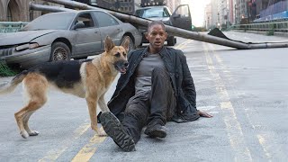 丧尸病毒突然席卷全球，整座城市就剩了一人一狗，高分灾难电影！