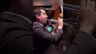 Absolutely magical #trumpet SOUND 😍