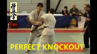 The PERFECT Knockout | Kyokushin Karate Head Kick