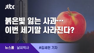 [날씨박사] 붉은빛 잃어가는 사과…이번 세기말 사라진다? / JTBC 뉴스룸