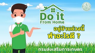 Do it From Home : การผลิตกุยช่ายขาว