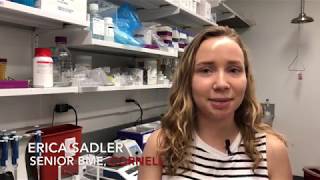 Cornell BME Undergraduate Spotlight: Erica Sadler