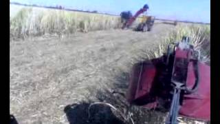 Case IH Austoft A8000 sugarcane harvester in the Karun Agro\u0026industry khuzestan iran3