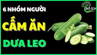 Cảnh Báo:  Ăn Dưa Leo (Dưa Chuột) Cực Nguy Hiểm Với 6 Nhóm Người Này ? - kênh sức khoẻ bổ ích