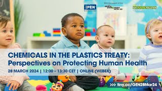 Chemicals in the Plastics Treaty: Perspectives on Protecting Human Health