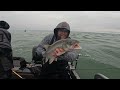 fishing lake ontario 2024 niagara bar smash fest