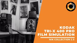 New Kodak’s Tri-X 400TX Pro Film Simulation / Nik Collection 2.3