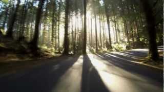 GoPro Hero3: Sunny Drive Through The Woods in 2.7K