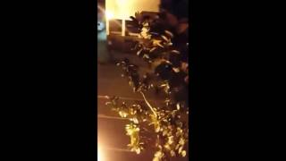 LiveLeak - Crazy Guy With Machete Vs 2 Cars!!! Epic Video and Commentary!!