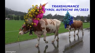 FETE DE LA TRANSHUMANCE / TYROL / AUTRICHE /23 SEPT 2023