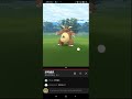 袋獸日直播！打完5場就收工！pokémon go