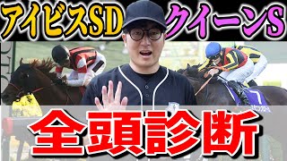 【アイビスサマーダッシュ2024】A→S→A決着！