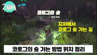 젤다 왕국의 눈물, 지저 통해서 코로그의 숲 가는 방법 위치 정리해 드립니다. (젤다의 전설, 젤다 왕눈, 코르그의 숲, 지저 입구)