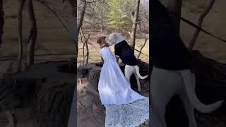 #Dogs marry in an adorable ceremony. Watch wholesome video